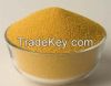 Corn Gluten