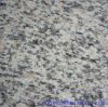 Chinese  cheap granites in china