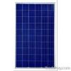 230W Poly Solar Panel