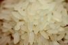 RICE SUPPLIER| PARBOIL...