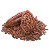 Wholesale Price Cacao Beans