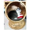 Water Hyacinth Handwoven Pet House Cat Bed 9003 - Home24h.biz