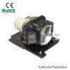 OEM DT01191 Projector ...