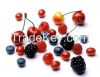 Fresh fruits