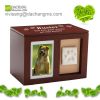  wooden paw print pet ...