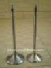 Intake Valve & Exh...