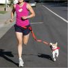 Handsfree dog collars and leashes For Running Jogging Walking Training. EASY