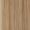 Professional Hair Exte...