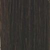 Professional Hair Exte...