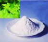 Organic stevia