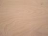 flim faced plywood  ,c...