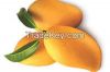 pakistani fresh mangoes