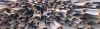 METAL SCRAP