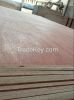 best price plywood/ commercial plywood
