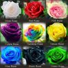 (THIS ORDER INCLUDE 9 ...