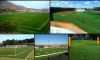 Artificial Grass/Turf ...