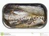 canned sardine in oil