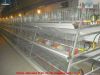 Battery cages for broiler chicken