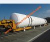 Giant Autoclave for Tires Industry