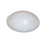 LED Ceiling Light