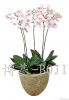 artificial flowers group