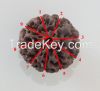 Big Loose Beads Rudraksha 6 to 9 mukhis, 20 to 24 mm