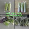 Foshan New Keli Fresh Vegetable On edge Horizontal Package Machinery