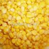 corn kernel in tins