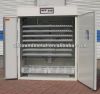 cheap  equipment of eg...