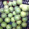 Mangosteen dry goods o...
