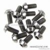 Titanium bolt screws f...