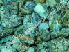 Turquoise Jewelry Raw Materials