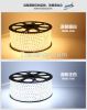 products GS/CE, ROHS, ERP approved 3528/5050 waterproof IP68 Flex LED Strip 