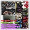 wholesale sorted mixed used shoes for afirca market