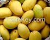 Langhra Mangoes from p...