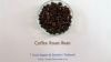Coffee Roasted Bean