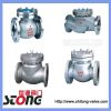 API WCB check valve, stainless steel check valve