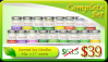 Soy Candles Complete S...