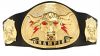 wrestling chempionship...