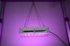 JYO 2014 newest design APOLLO 4 40*5W (Each led 5 W) Full Spectrum most popular led grow light For Indoor growing
