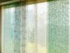 Plain-web Non Wovens for Wallpaper, Wall Cloth, Mural, Curtain