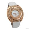 Gold Winner Leather Quartz Watch Wristwatch Watches GW180048