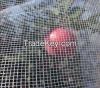 Crystal net, Agriculture hail protection net, apple tree anti hail net