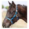 PVC horse halter, soft...