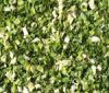 Mixed Scallions