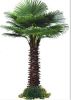 Whole sales artificial fake palm tree /make artificial fake palm tree/high imitation fake palm tree made in China 