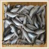 Blue round scad(Decapterus Maruadsi) whole round wholesale