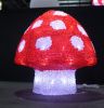 PMMA MUSHROOM