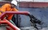 Crude Oil