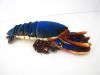 Simulation Lobster Plu...
